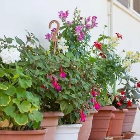 Alijev Гостевой дом Сплит